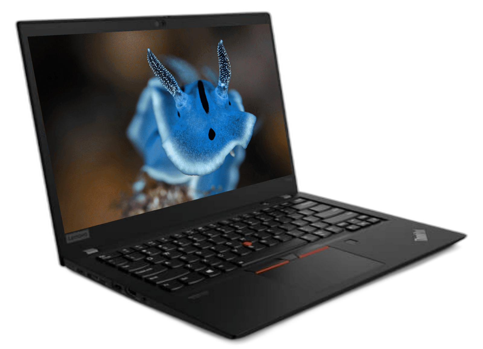 Lenovo ThinkPad T14s Gen 1 - Intel® Core™ i5- 10310U