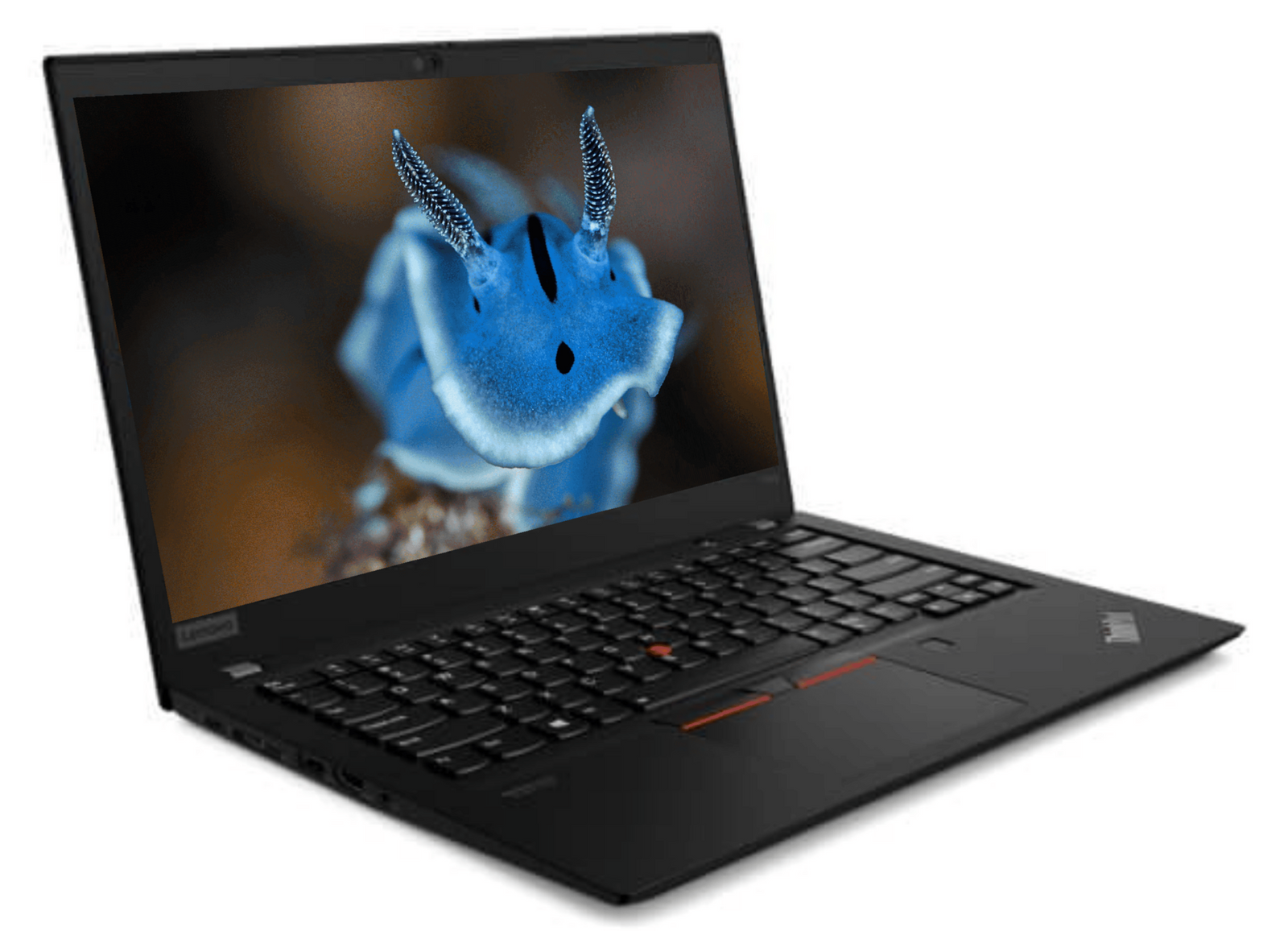 Lenovo ThinkPad T14s Gen 1 - Intel® Core™ i5- 10310U